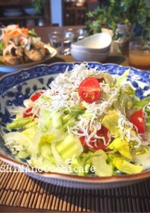 新タマとセロリのシャキシャキシラスサラダ-レシピのメイン写真