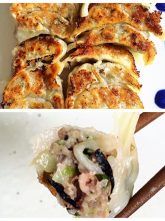 もやしとひじき入り!節約ヘルシー餃子-レシピのメイン写真