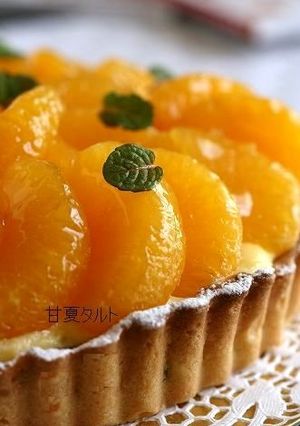 甘夏のタルト-レシピのメイン写真