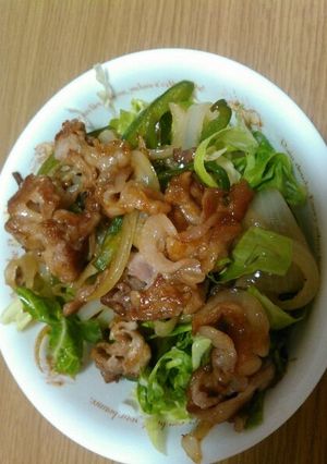 野菜たっぷり生姜焼き風丼-レシピのメイン写真