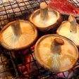 ジュ~スィ~♪椎茸のネギごま塩焼き