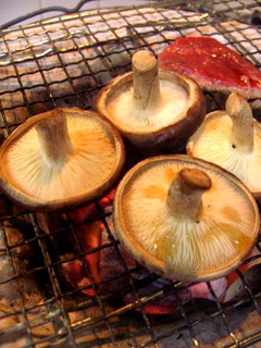 ジュ~スィ~♪椎茸のネギごま塩焼き-レシピのメイン写真