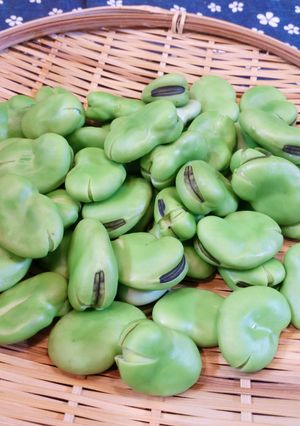 ♪やさしい初夏の味♡空豆の塩茹で♪-レシピのメイン写真