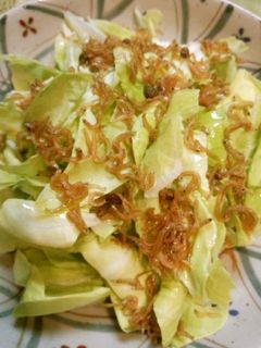 春キャベツのサラダ-レシピのメイン写真