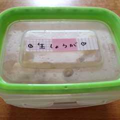 รูปของ 生しょうが♪冷凍保存のすすめ♡
