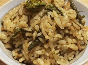 山菜☆こごみとしどけの炊き込みご飯-レシピのメイン写真