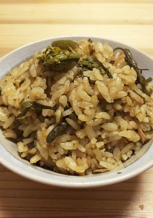 山菜☆こごみとしどけの炊き込みご飯-レシピのメイン写真