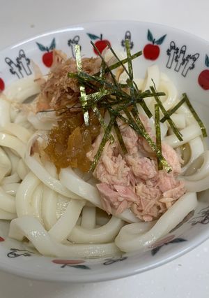 梅ツナさっぱり冷やしうどん！子どもと簡単お昼ご飯-レシピのメイン写真