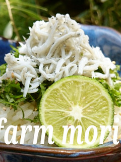 農園レシピ・かまあげしらす丼-レシピのメイン写真