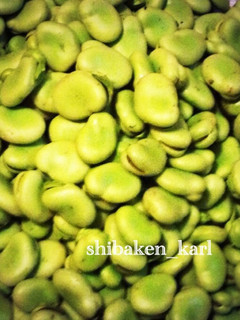 そら豆 簡単冷凍保存①茹で-レシピのメイン写真