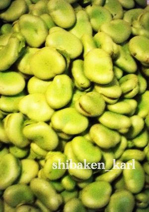 そら豆 簡単冷凍保存①茹で-レシピのメイン写真