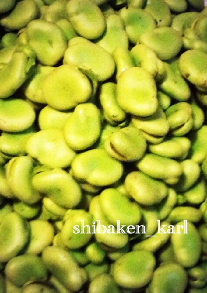 そら豆 簡単冷凍保存①茹で-レシピのメイン写真