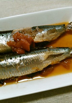 ごはんが進む煮魚❣鰯の梅干し煮-レシピのメイン写真