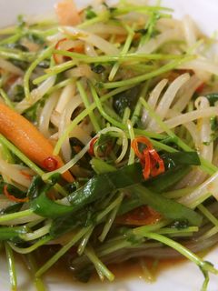 豆苗ともやしの炒め-レシピのメイン写真