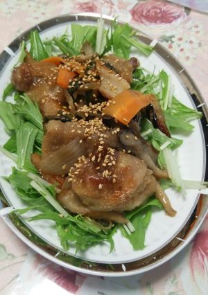 ボリューム満点！なすの肉巻きサッパリと♪-レシピのメイン写真