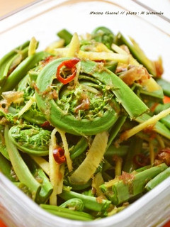 こごみ お浸し(麺つゆ生姜風味)-レシピのメイン写真