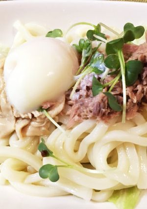 小腹に栄養満点サラダうどん-レシピのメイン写真