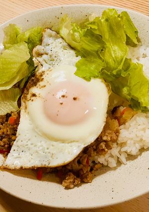 冷蔵庫の残り物で簡単ガパオライス-レシピのメイン写真
