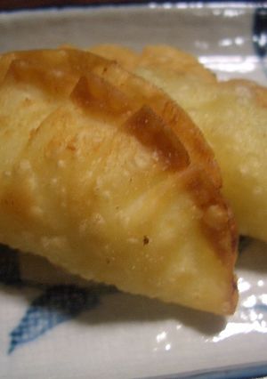 残ったサラダで揚げ餃子♪-レシピのメイン写真