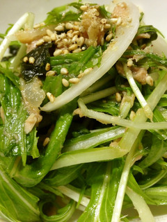 新玉ねぎと水菜のノンオイルツナサラダ-レシピのメイン写真