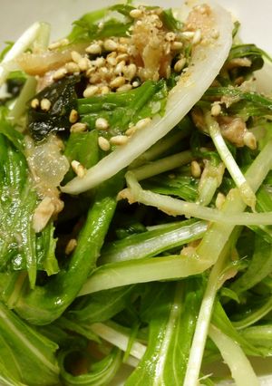 新玉ねぎと水菜のノンオイルツナサラダ-レシピのメイン写真