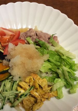 冷やしうどん 具だくさん-レシピのメイン写真
