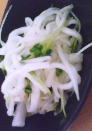 大人のダイコンサラダ-レシピのメイン写真