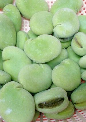 空豆の冷凍保存～生で冷凍する方法～-レシピのメイン写真