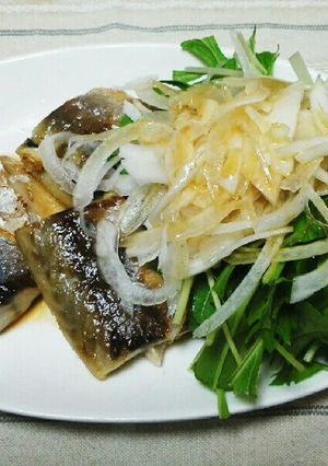 焼き塩さば§新玉ねぎと水菜のサラダ添え§-レシピのメイン写真