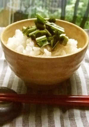 祖母直伝！三代伝わる行者ニンニク醤油漬け-レシピのメイン写真