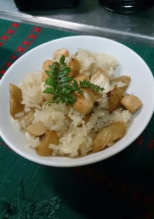 鶏ゴボウご飯-レシピのメイン写真