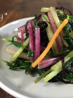 彩り綺麗!ご飯に合う!赤茎水菜の浅漬け-レシピのメイン写真