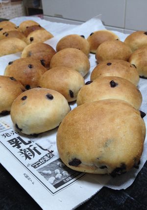 簡単チョコチップのプチパン-レシピのメイン写真