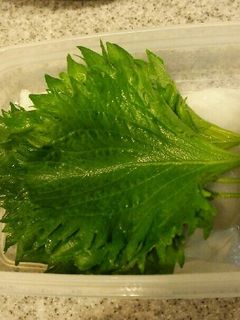 シソの葉の保存-レシピのメイン写真