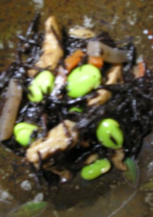 和食の代表　ひじき煮-レシピのメイン写真