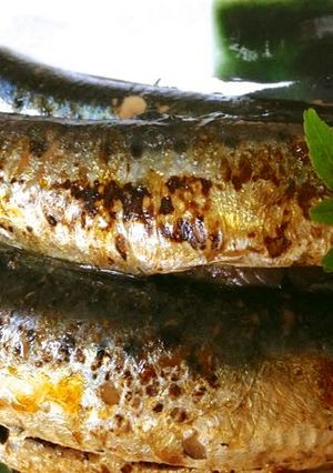 真いわしの梅煮 バーナー使用-レシピのメイン写真