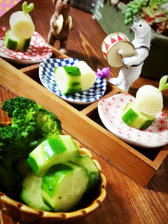 しましまでコロン キュウリの可愛い切り方-レシピのメイン写真