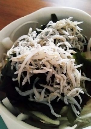 しらすとわかめの豆腐サラダ-レシピのメイン写真