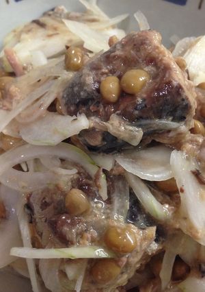 鯖缶、納豆、新玉ねぎのみレシピ-レシピのメイン写真