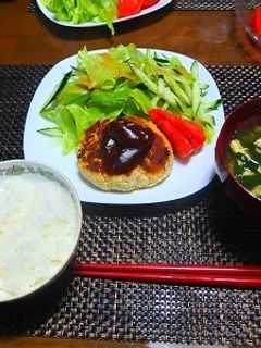 おから大量消費!ヘルシーおからバーグ-レシピのメイン写真