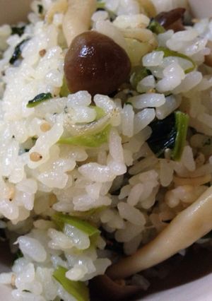 カルシウムたっぷり混ぜ混ぜごはん♪-レシピのメイン写真