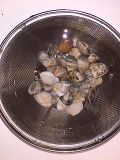 あさりの砂抜き-レシピのメイン写真