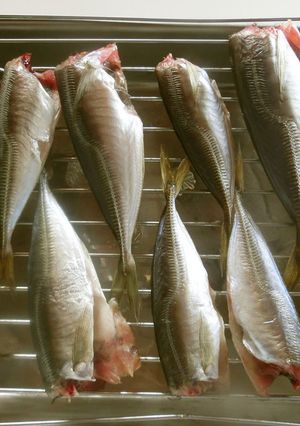 小鰺の干物の作り方☆簡単☆保存☆節約-レシピのメイン写真