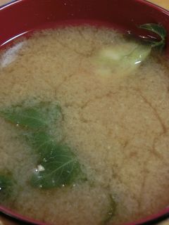 うどのお味噌汁-レシピのメイン写真