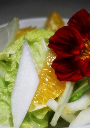 ミニ白菜と甘夏のサラダ-レシピのメイン写真