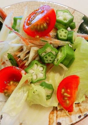 豆腐サラダ-レシピのメイン写真