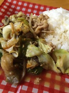 我が家のやきにく丼-レシピのメイン写真