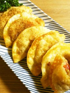 餃子の皮deタコス風♡包み揚げ-レシピのメイン写真