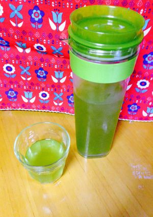 水出し茶(伊右衛門茶)-レシピのメイン写真