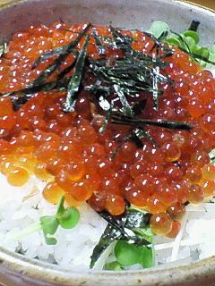 簡単☺筋子・いくらの醤油漬け（いくら丼） by どんぴんたん